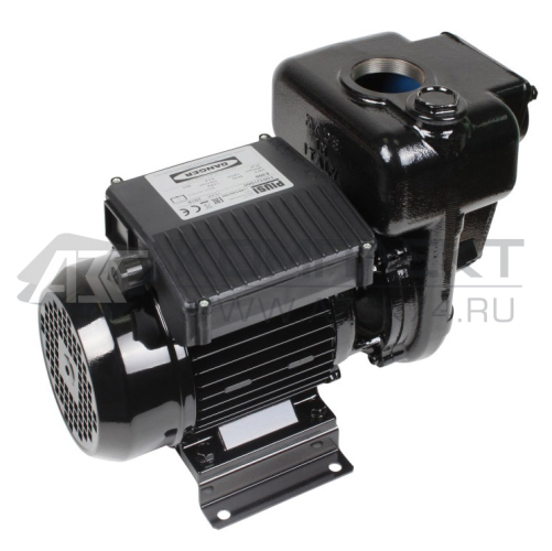 Насос Piusi E 300